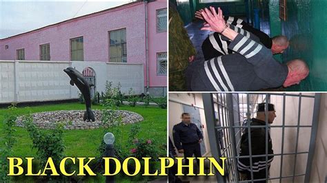 black dolphin prison russia|black dolphin jail.